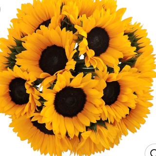 Bouquet girasoli