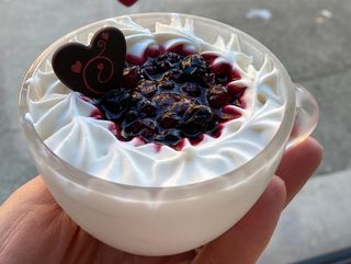 2 Tazze di semifreddo