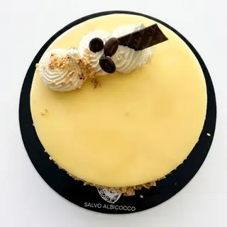 Torta gelato gusto cioccolato e caffè