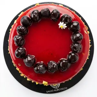 Coccinella
