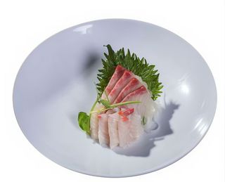 253 Sashimi ricciola