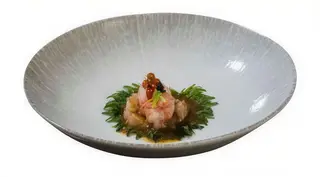 157 Tartare amaebi