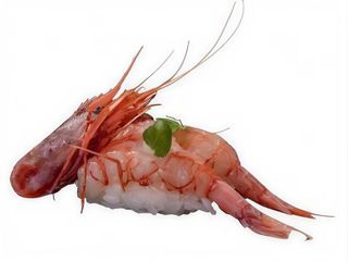 190 Nigiri amaebi 2 pezzi