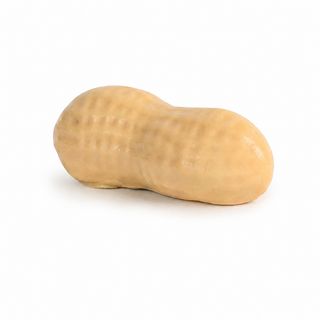 741 Arachide Frutta Realistica