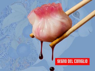 Z04 Coniglio-Dimsum di melanzane piccanti 3pz