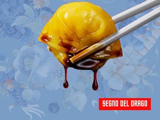 Z05 Drago-Dimsum al ragù 3pz
