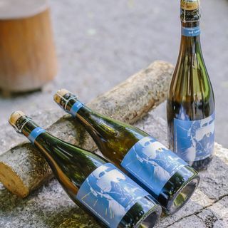 L' esploratore - Ferdywild Vigneron Selection