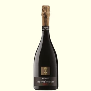 Terre - Franciacorta DOCG