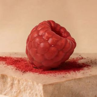 Frutta realistica Lampone