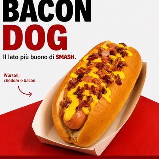 BACON DOG 