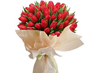 tulipani rosso colore 100 pezzi