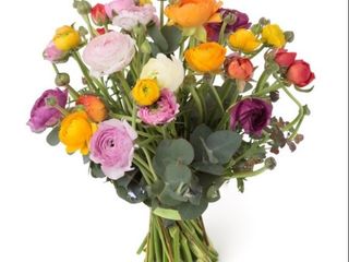 ranuncoli normale mixto colore