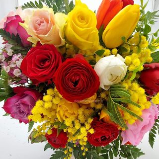 MIMOSA TULIPANI RANONCOLI ROSSA ROSE