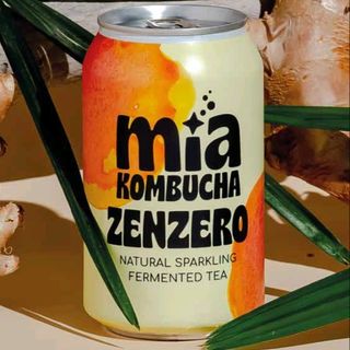 Kombucha zenzero