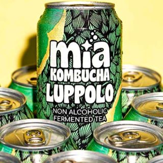 Kombucha luppolo