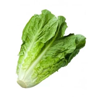 insalata romanella (1 pezzo)