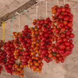 pomodori invernali a filo - 1kg