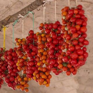 pomodori invernali a filo - 1kg