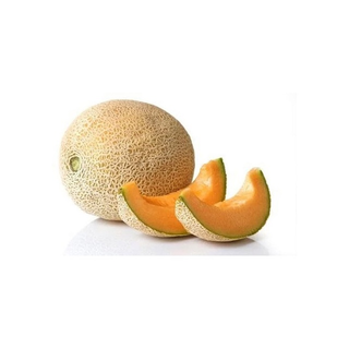 melone cantalupo