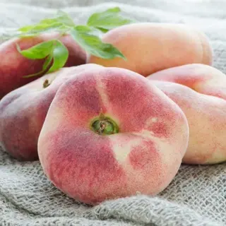 pesche barattiere - 500gr