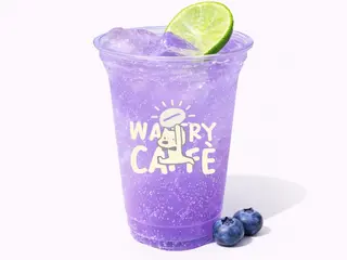 Blueberry Frizz