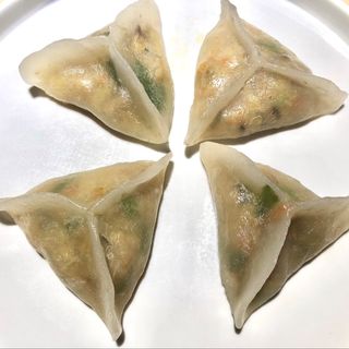 Ravioli artigianali di verdure y yal vapore 手工素饺