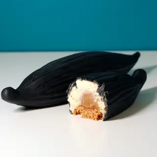 Bacca di Vaniglia