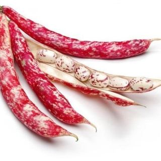 Fagioli Borlotti 700gr