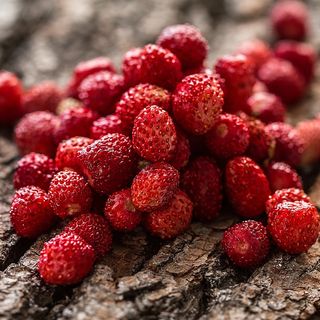 Fragoline di bosco 100gr