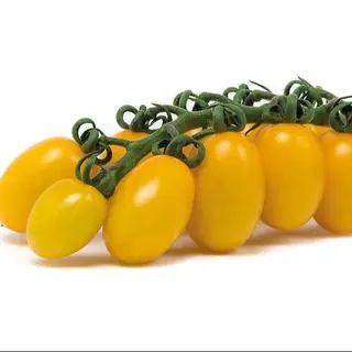 Pomodoro datterino giallo 500gr
