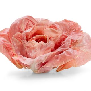 Radicchio Rosa 400gr