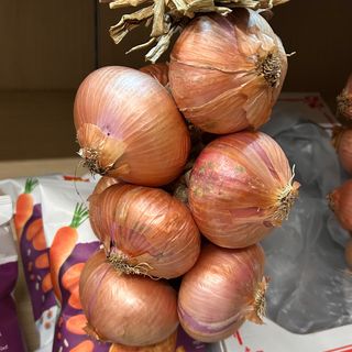 Treccia di cipolle di montoro