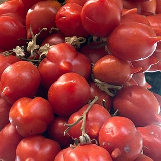 Pomodorini del piennolo