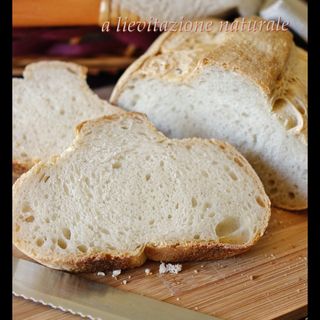Pane casereccio bianco