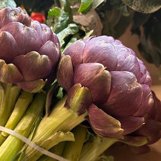 Carciofi mammarelle tipo extra