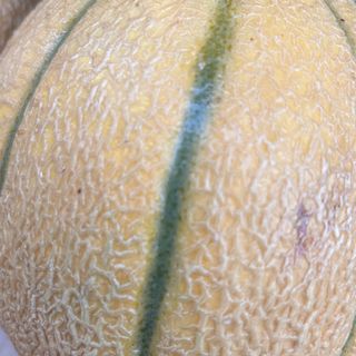 Meloni di pane