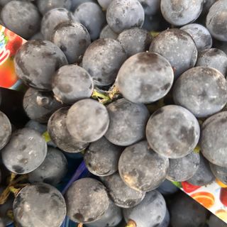 Uva fragola 