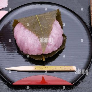 Daifuku Sakura (1pz)