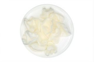 502. Nuvole di drago