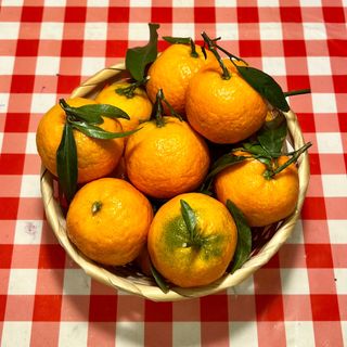 Clementine 500g 