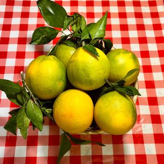 Arance Italiane 1 kg