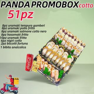 BOX COTTO 51PZ