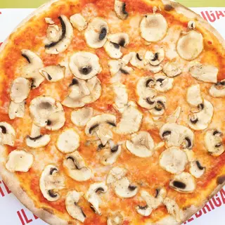 FUNGHI CHAMPIGNON FRESCHI