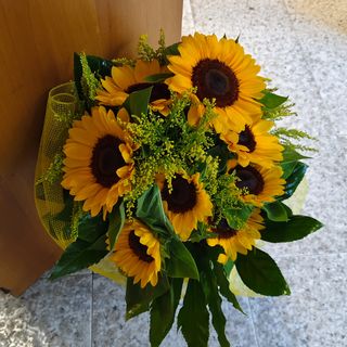 Bouquet girasoli