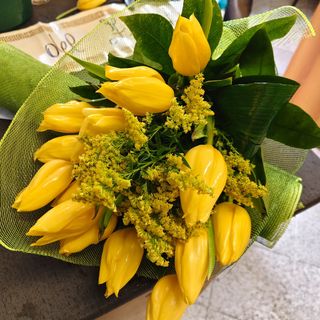 Tulipani multicolore