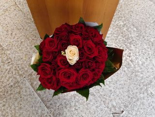 Rose rosse and one white