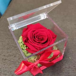 Rosa stabilizzata singola  