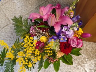 Bouche colorato con mimosa