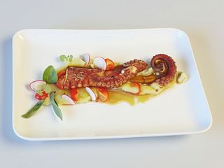 Tentacolo di polpo alla griglia