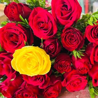 Rose rosso con 1 gallo 